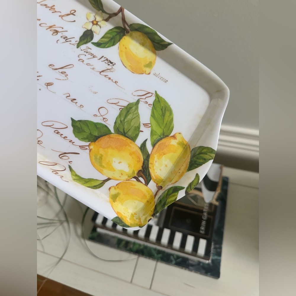 Set of 2 Nicole Miller Lemon Melamine Serving Trays Lemon Print - Picture 4 of 7